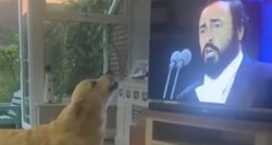 Naježit ćete se kad vidite što ovaj pas radi kad čuje Pavarottija