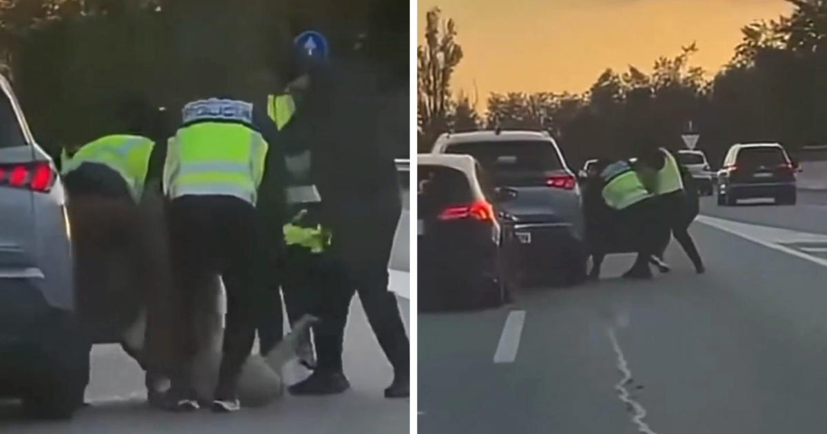 VIDEO Lažni policajci oteli muškarca nasred autoceste u Španjolskoj