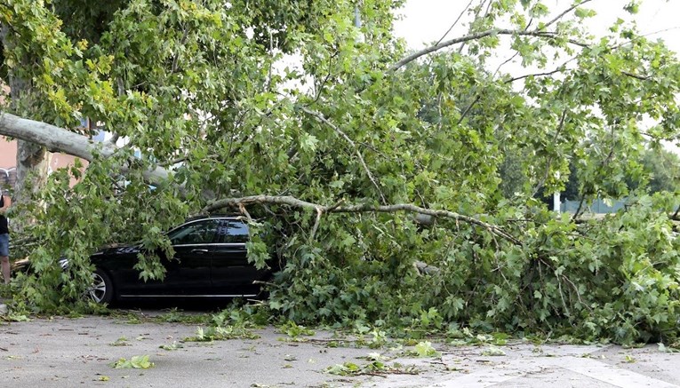 Nakon oluje 40 posto Vukovarsko-srijemske županije bez struje. "Stanje je teško"