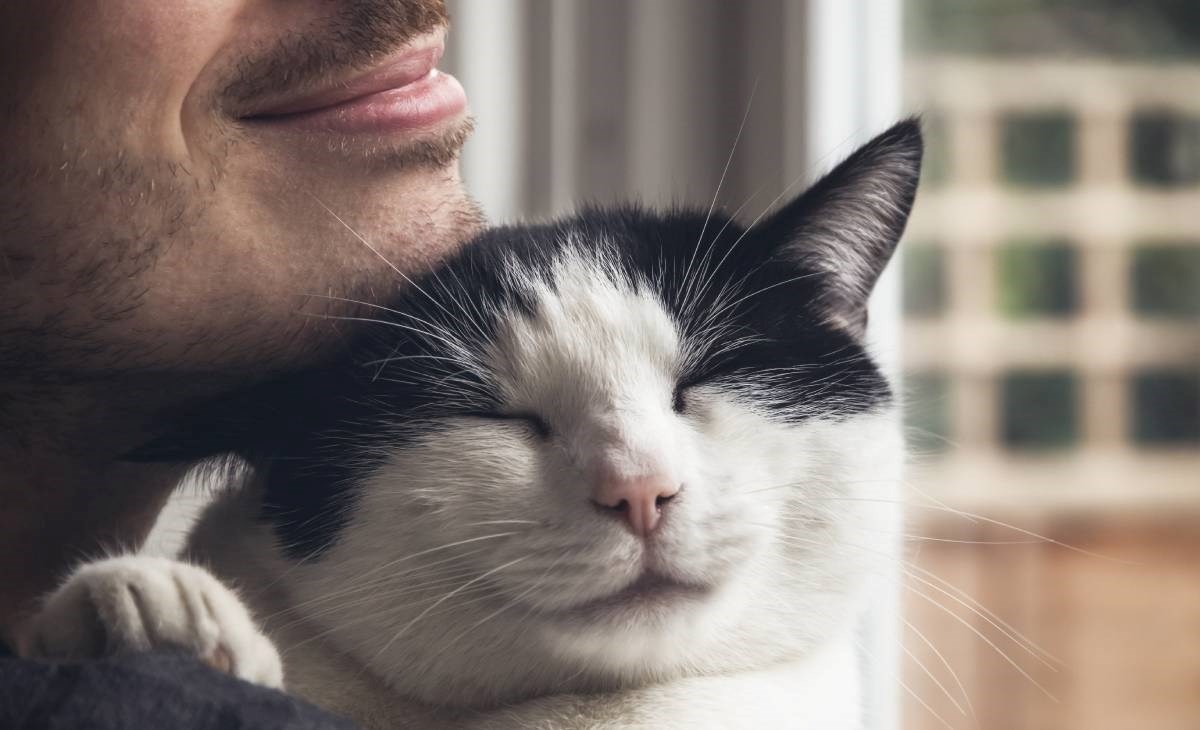 Znanstvenici konačno otkrili kako mačke predu?