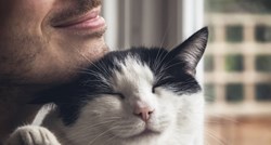 Znanstvenici konačno otkrili kako mačke predu?