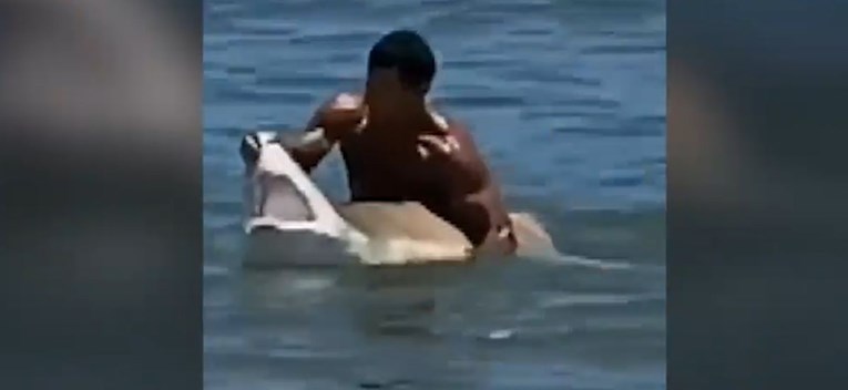 VIDEO Golim rukama uhvatio morskog psa i otvorio mu usta, imao je dobar razlog