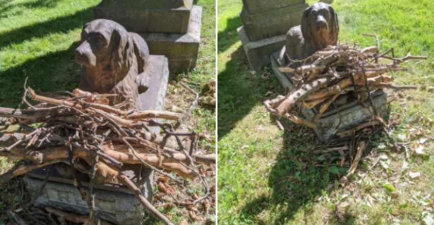 Ljudi još uvijek ostavljaju grane na grobu psa koji je uginuo prije 100 godina