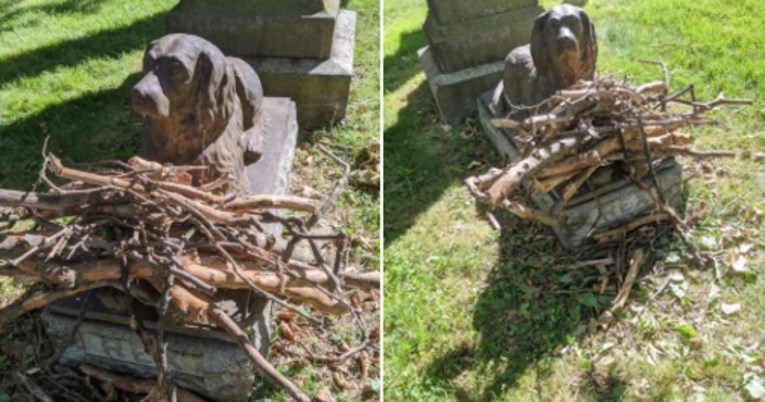 Ljudi još uvijek ostavljaju grane na grobu psa koji je uginuo prije 100 godina