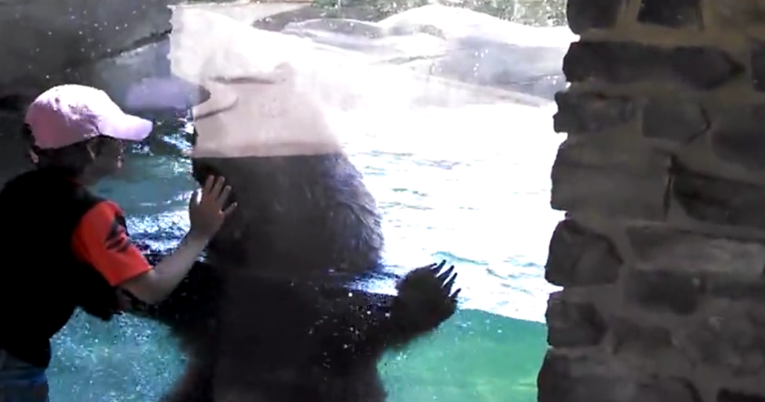 Dječak prišao medvjedu u zoološkom vrtu, a onda se dogodilo nešto neočekivano