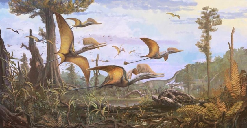 U Škotskoj otkriven čudan fosil drevnog letećeg gmaza: "Uglavnom ih je bilo u Kini"