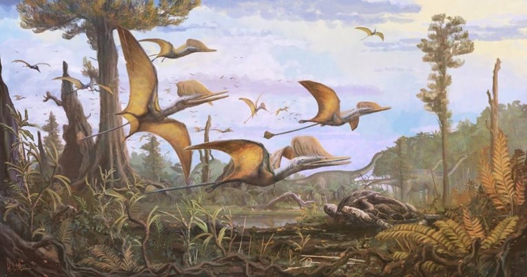 U Škotskoj otkriven fosil drevnog krilatog gmaza: "Čudno, uglavnom ih je bilo u Kini"