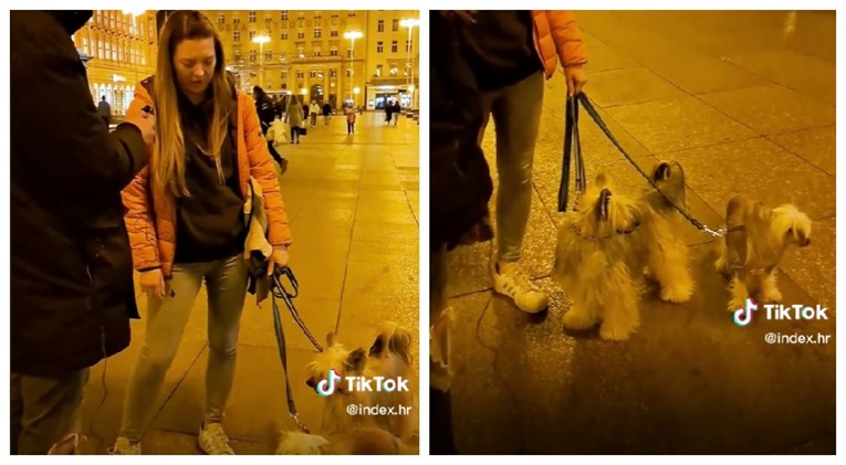 Sreli smo zanimljivu pasminu u centru Zagreba: "Nekada su lovili štakore"