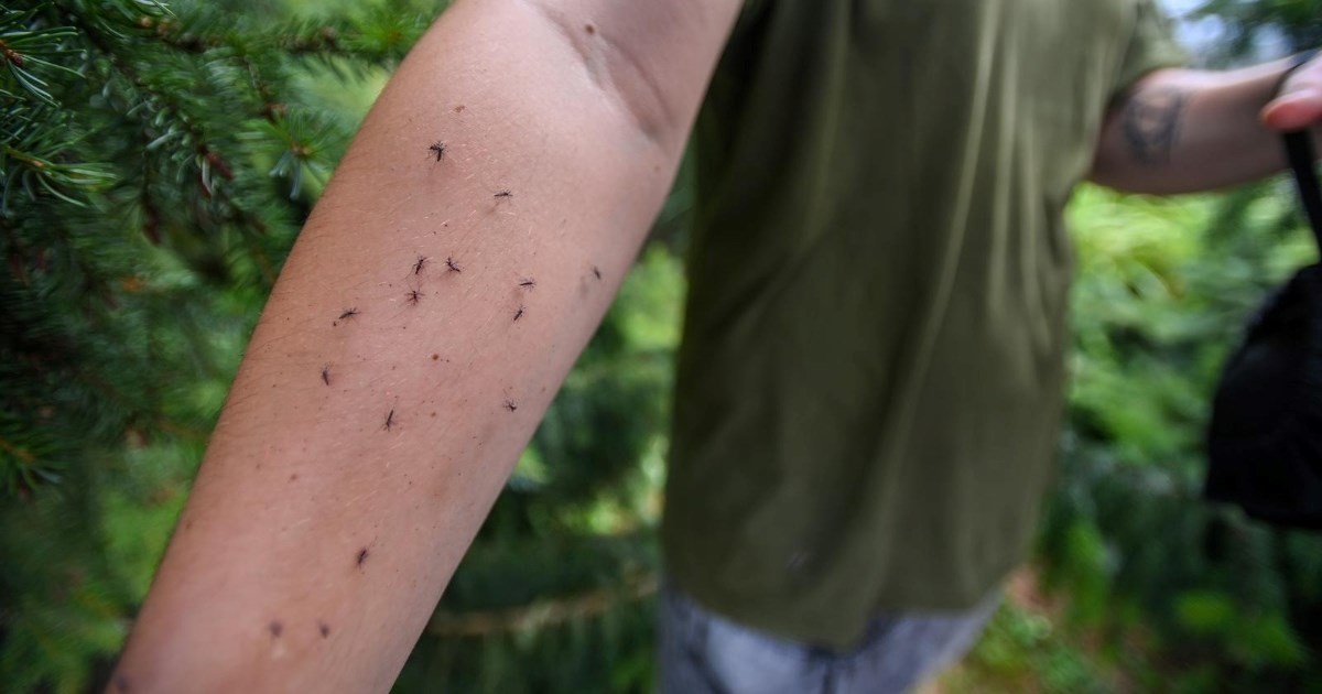 Komarci vas obožavaju? Znanstvenici misle da znaju zašto