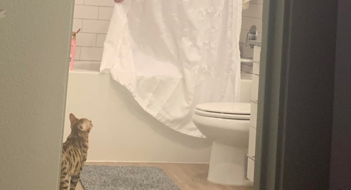 Žena čula da njen suprug vrišti u kupaonici pa ostala zatečena prizorom