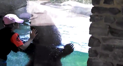 Dječak prišao medvjedu u zoološkom vrtu, a onda se dogodilo nešto neočekivano