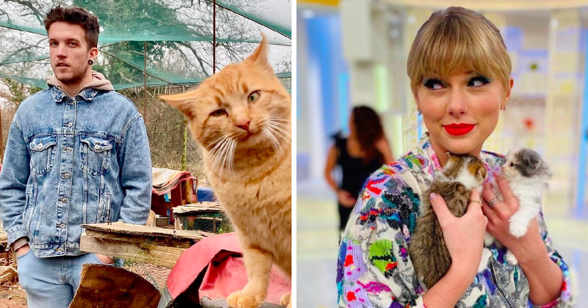 Ovo je dokaz koliko je Baby Lasagna popularan u Švedskoj