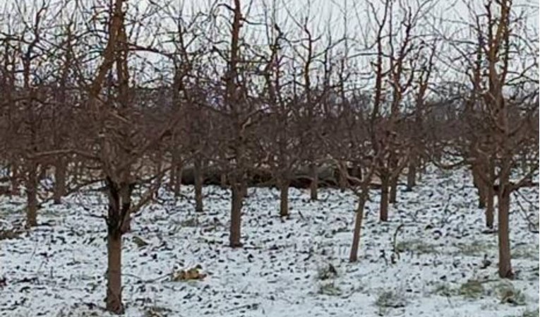 FOTO U Moldaviji pronađen projektil, podignut stupanj uzbune