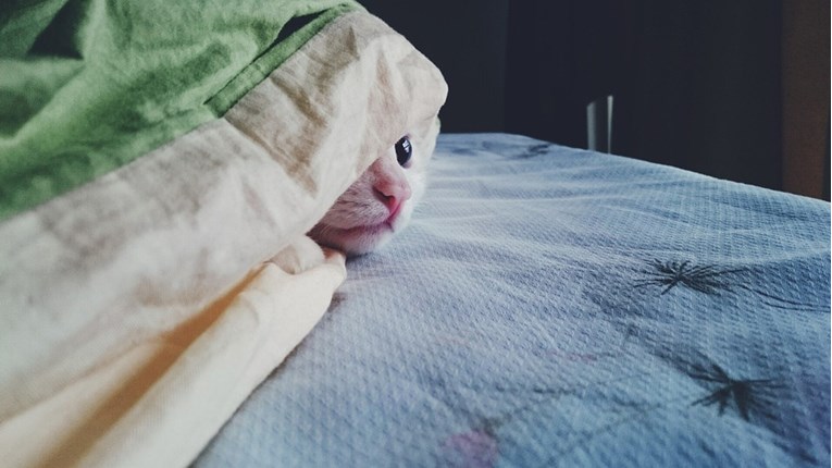 Hrvatska vatrogasna zajednica podržala zabranu bučne pirotehnike