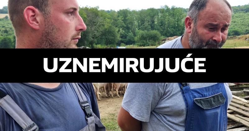 Upozoravamo da su fotografije uznemirujuće!