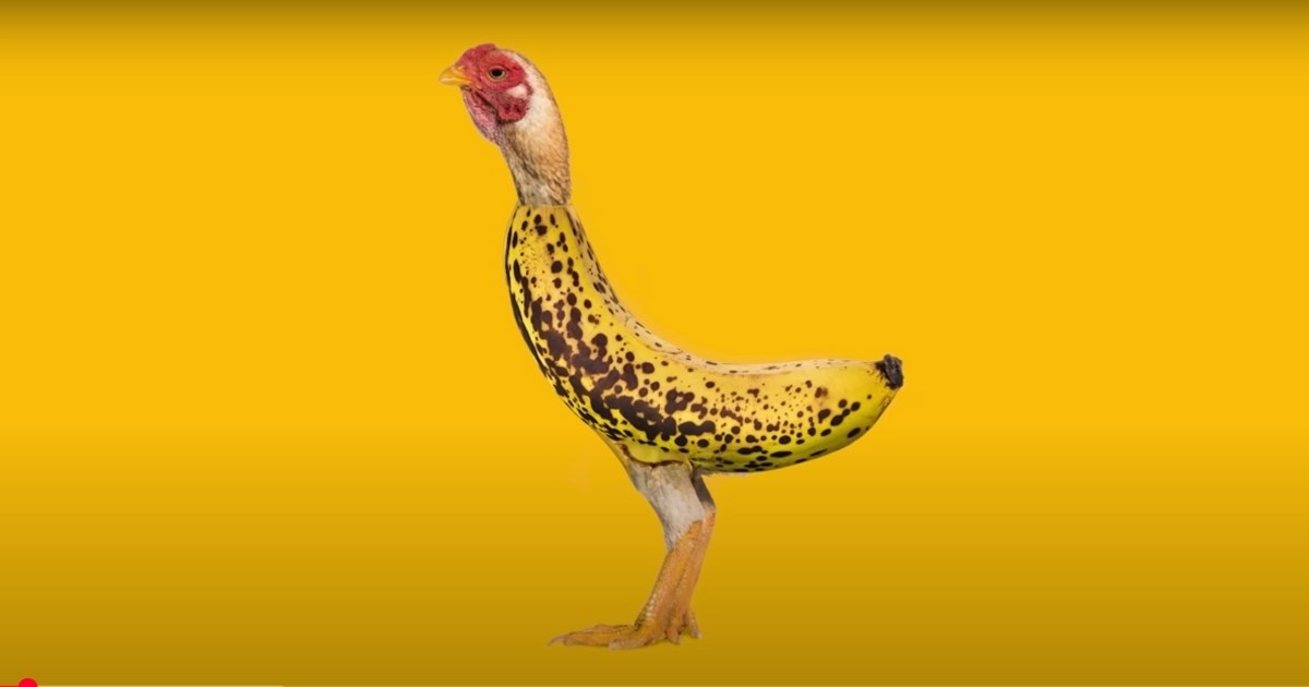 Ako vas je Baby Shark živcirao, novi dječji hit Chicken Banana mogao bi još i više