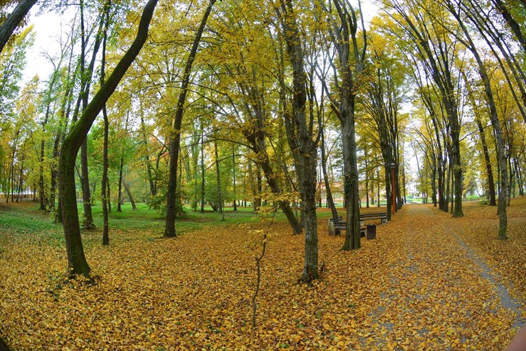 Pijan pucao iz signalnog pištolja u Daruvaru
