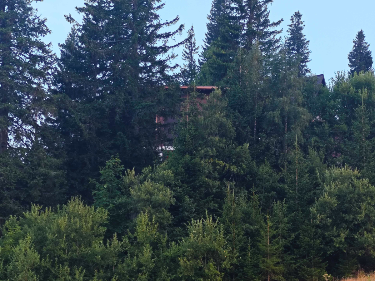 Bregović ima kuću na Jahorini, odmah uz skijašku stazu. Pogledajte kako izgleda