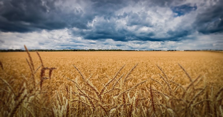 Ovako će Ukrajina izvoziti žito. Hrvatska ima ključnu ulogu