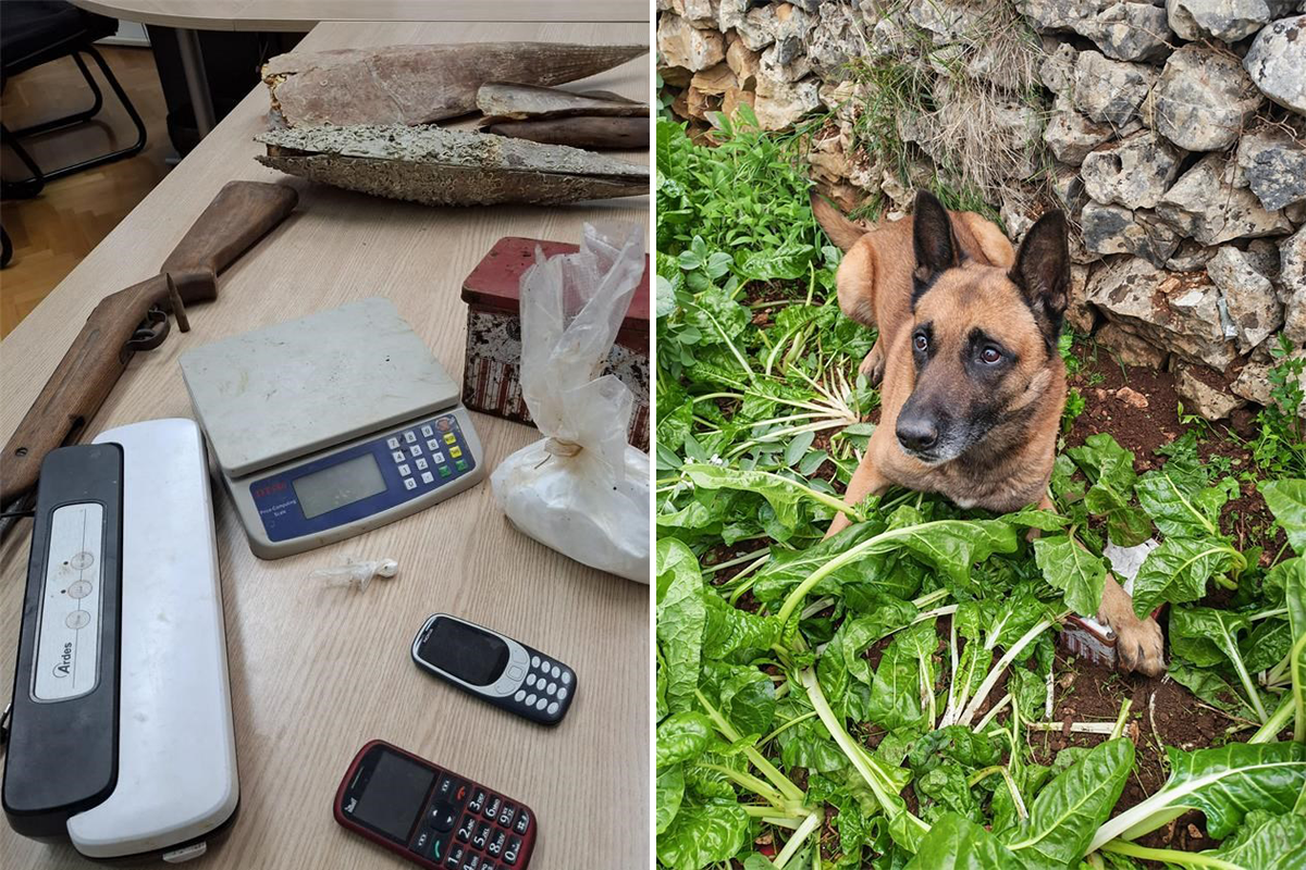 VIDEO Policijski pas namirisao drogu zakopanu u vrtu, pronađeno 800 grama amfetamina