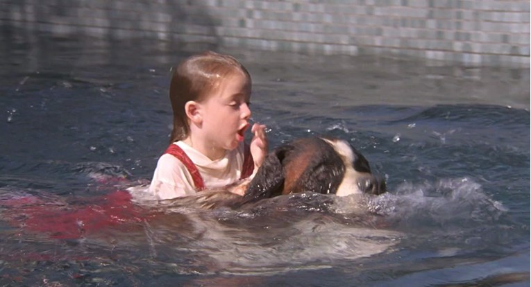 Pet super filmova sa psima u glavnim ulogama