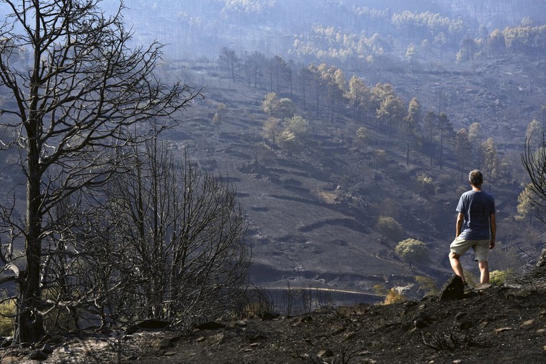Požari haraju Europom. Već je izgorjela površina veličine Luksemburga