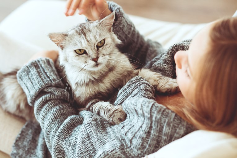 Idete li svojoj mački na živce? Saznajte činite li stvari koje ju izluđuju