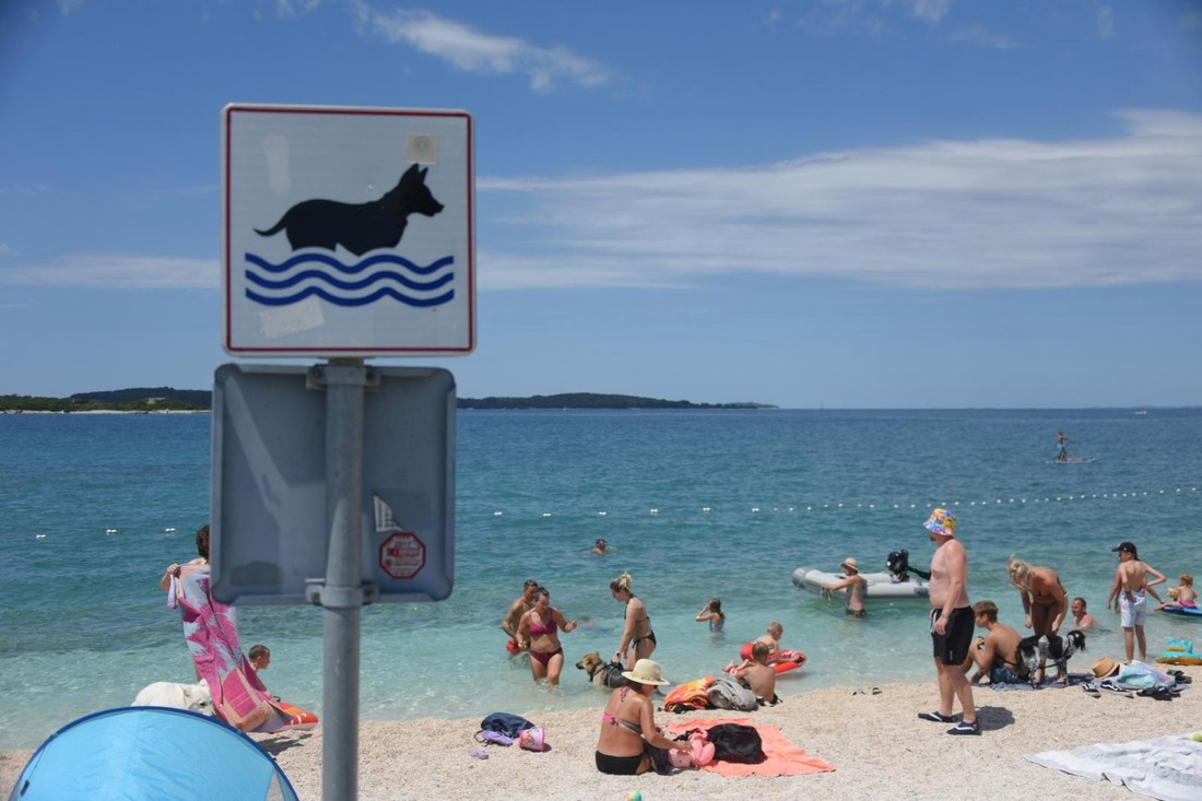 Peticiju za pet-friendly plaže potpisalo 1500 građana: "Ne zabranama, nego pravilima"