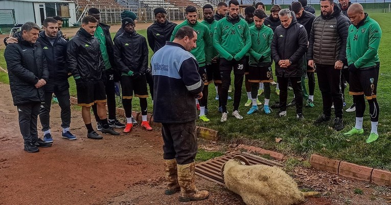 Turski klub žrtvovao životinju i objavio fotografiju na društvenim mrežama