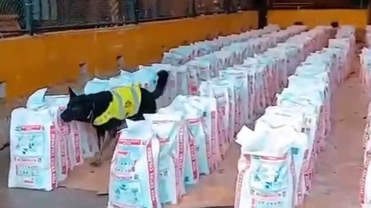 Kolumbija zaplijenila najveću količinu kokaina u posljednjih deset godina