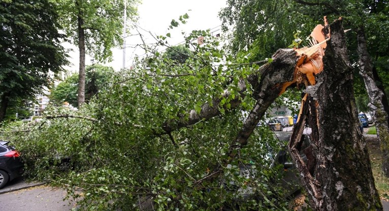 Na Jarunu stablo palo na 15-godišnju djevojku