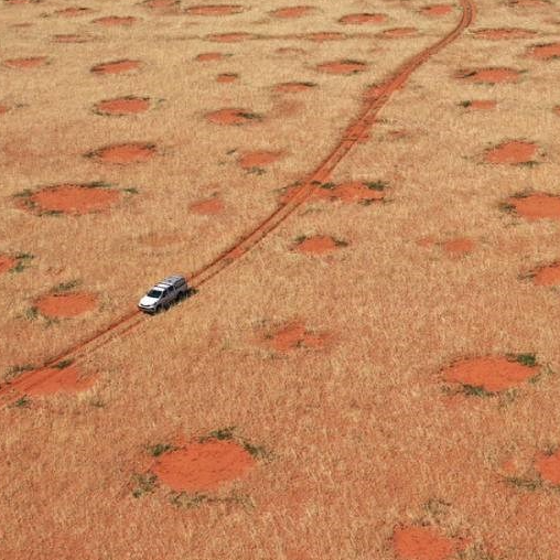 Riješena tajna misterioznih prstenova u pustinji Namib, tvrde znanstvenici