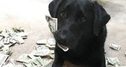 Upoznajte psa koji štedi novac za poslastice