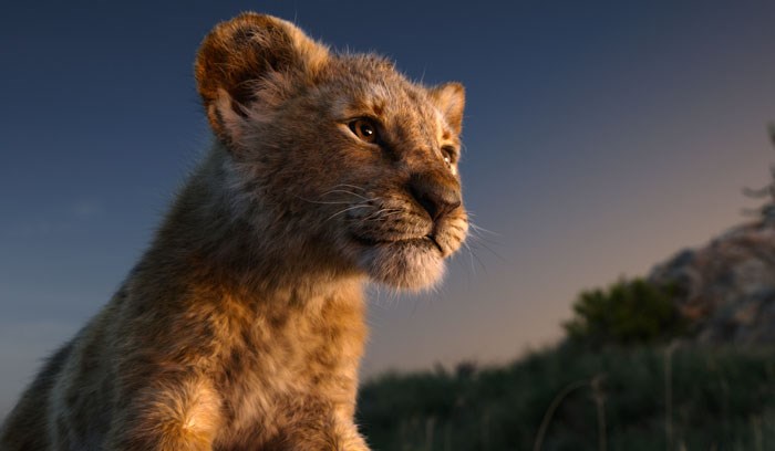 Ovo je Bahati, slatka lavica po kojoj rade lik Simbe za novi film "Kralj lavova"