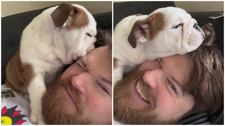 Ovaj psić je našao omiljeno mjesto za drijemež. Na glavi svog čovjeka