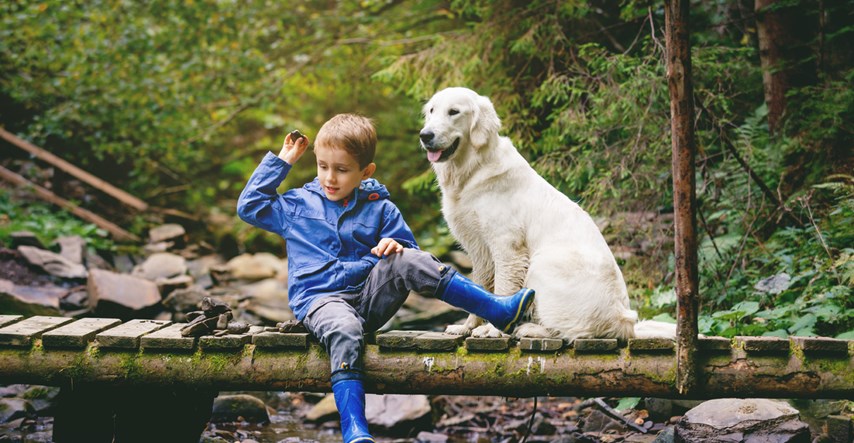 Saznajte jednostavan odgovor dječaka na pitanje zašto psi žive toliko kratko