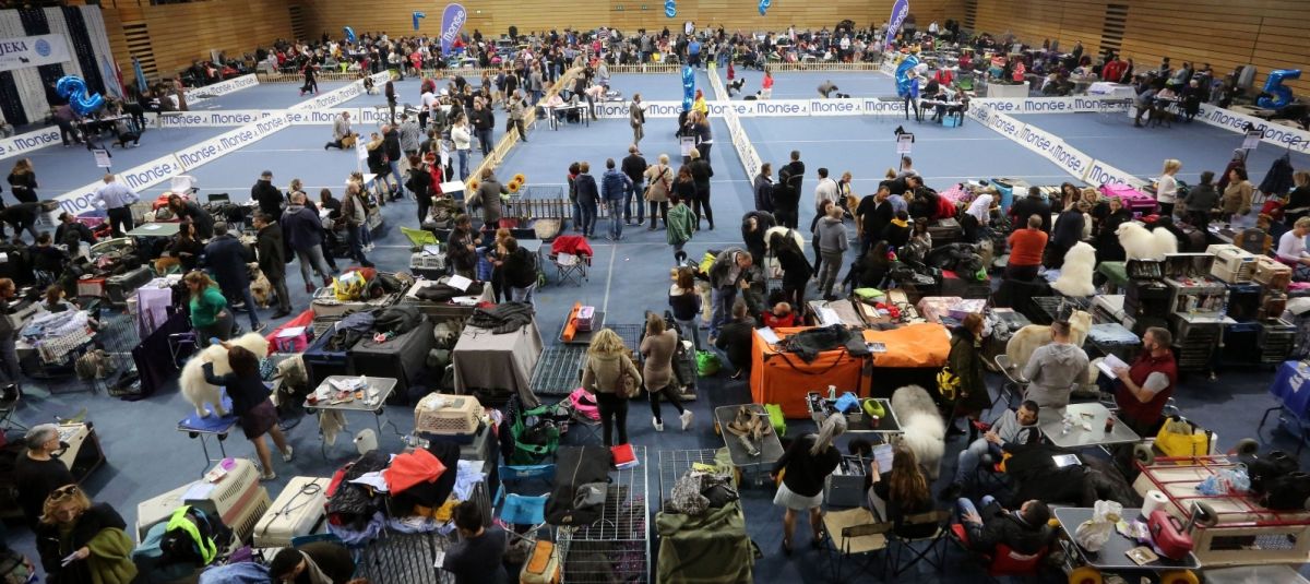 Nakon pisanja Indexa otkazana izložba u Rijeci na koju su trebali doći Talijani