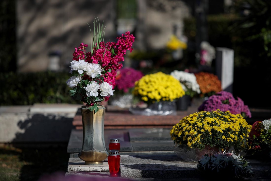 Svaka vrsta cvijeta ima svoje značenje. Krizantema simbolizira sjećanje