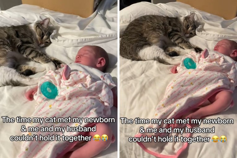 Prizor koji topi srca: Mačka se privila uz bebu, roditelji nisu mogli sakriti suze