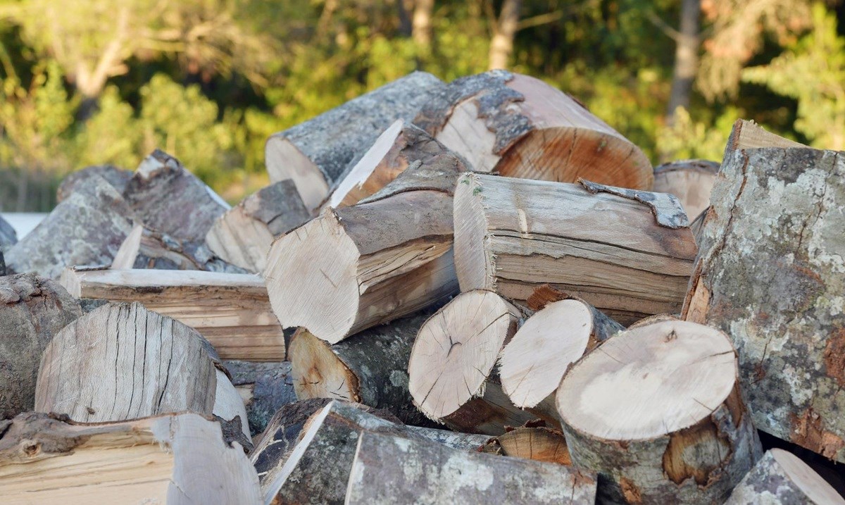 Hrvatske šume povisile cijene drva