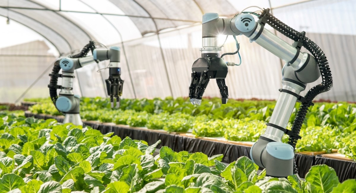 Znanstvenici razvili AI tehnologiju koja sprječava trovanje hranom