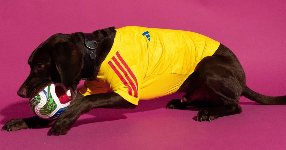 adidas lansira nogometne dresove za ljubimce, neodoljivi su