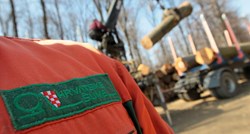 Hrvatske šume u šest godina zaposlile više od 1000 ljudi