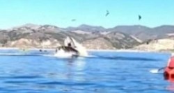 Snimljen šokantan trenutak u kojem je kit umalo progutao dvije kajakašice