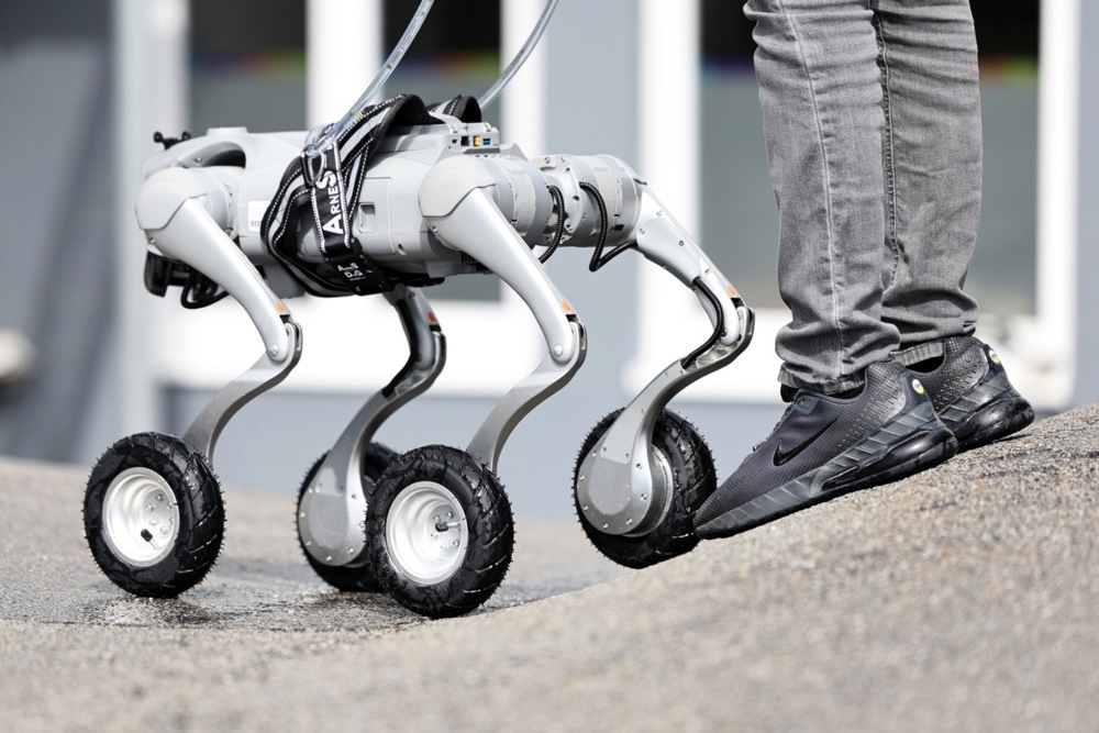 ICE nabavlja robotske pse za imigracijske operacije