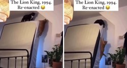 Video dviju mačaka postao hit zbog najtužnije scene iz Kralja lavova