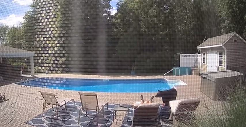 Muškarac zaspao pored bazena, probudio ga medvjed koji je napravio nešto neočekivano