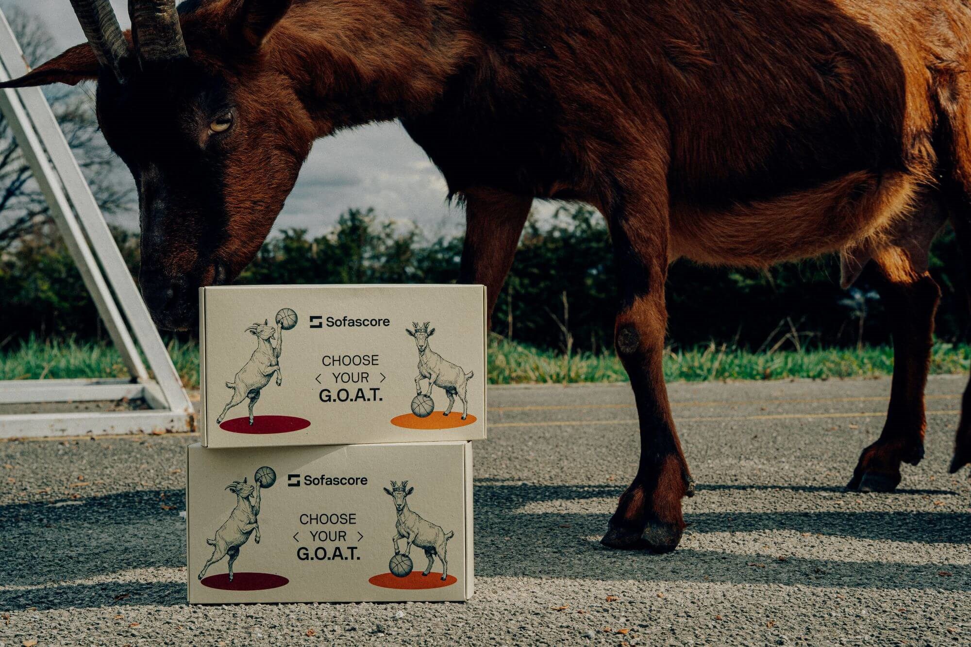 Jordan ili LeBron? Sofascore upao u raspravu i Amerikancima uvalio - kozji sir