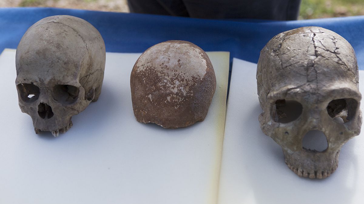 Novo istraživanje: Svi ljudi imaju dio DNK neandertalaca