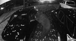 Kamera snimila medvjeda kako "provaljuje" u auto: "Evo zašto uvijek treba zaključati"